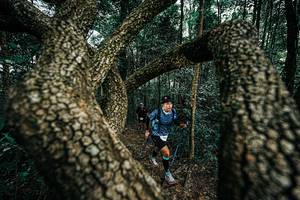 BIB: 
                            <button type="button" onclick="openModal(25394173)" class="btn btn-primary btn-sm float-right btn-popup" data-toggle="modal" data-target=".modal-high-quality">
                        <i class="fas fa-shopping-cart"></i> Add to Cart
                    </button>
                                            <button type="button" onclick="isThisMe(25394173, true)" class="btn btn-success btn-sm float-right btn-popup btn-isme hidden" data-toggle="tooltip" data-placement="bottom" title="นี่คือรูปของคุณใช่ไหม คลิกที่นี่เพื่อเอาเข้าอัลบั้ม">
                        <i class="fas fa-plus"></i> Add to album
                    </button>
                    <button type="button" onclick="isThisMe(25394173, false)" class="btn btn-warning btn-sm float-right btn-popup btn-isnotme hidden">
                        <i class="fas fa-ban"></i> Remove from album
                    </button>